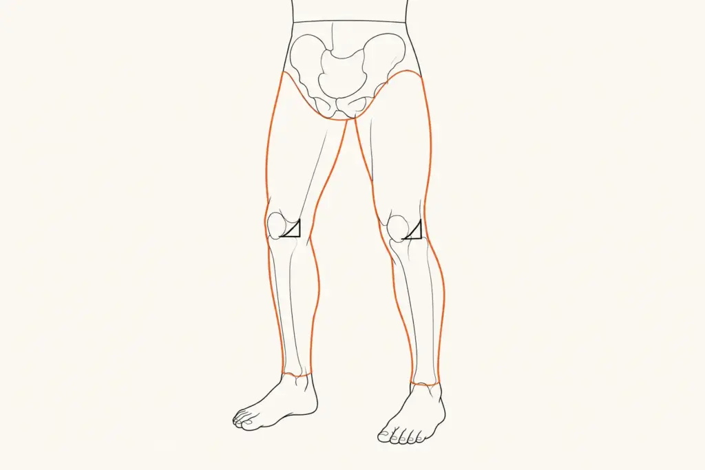 Piernas